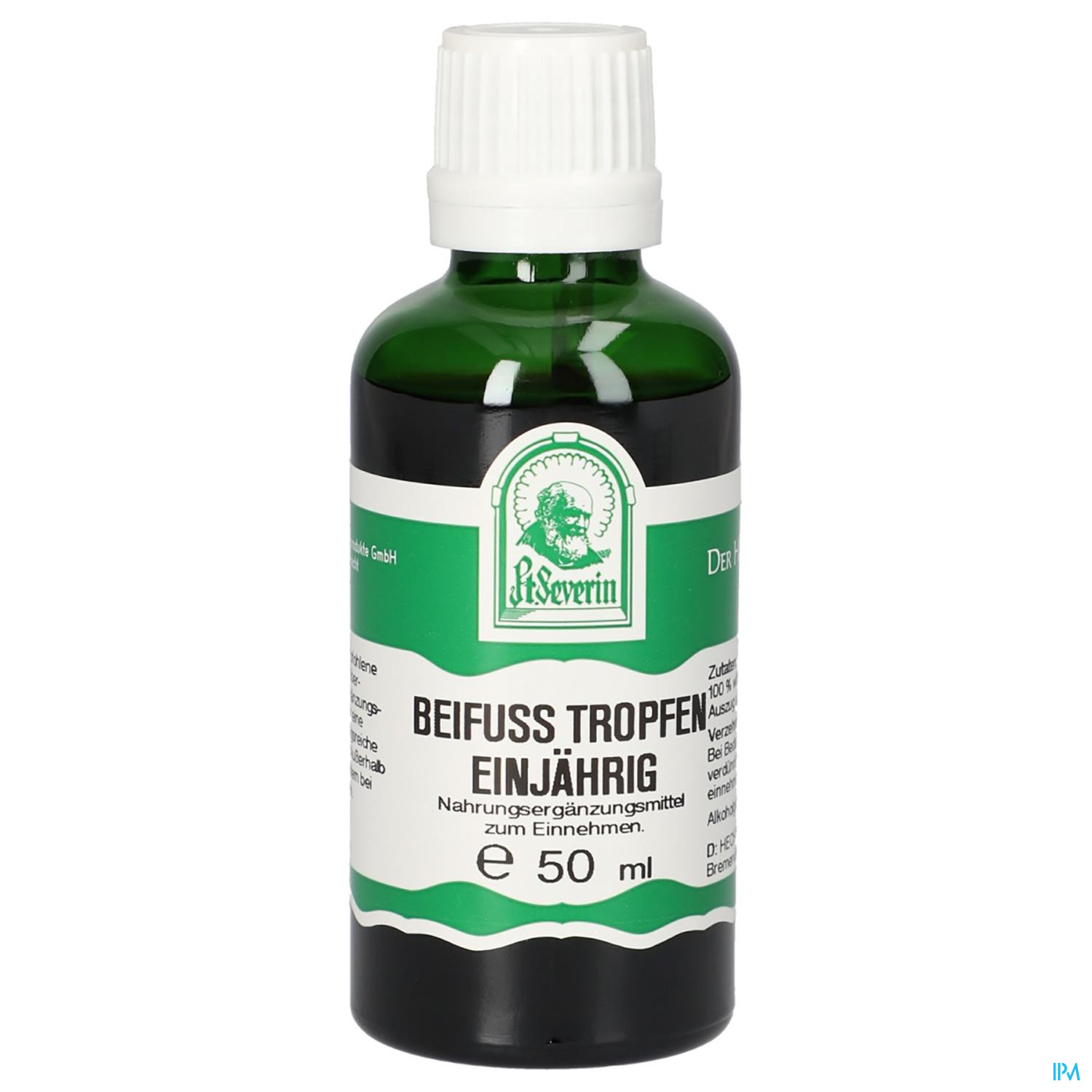 Pater Severin Beifuss Tropfen Einjährig