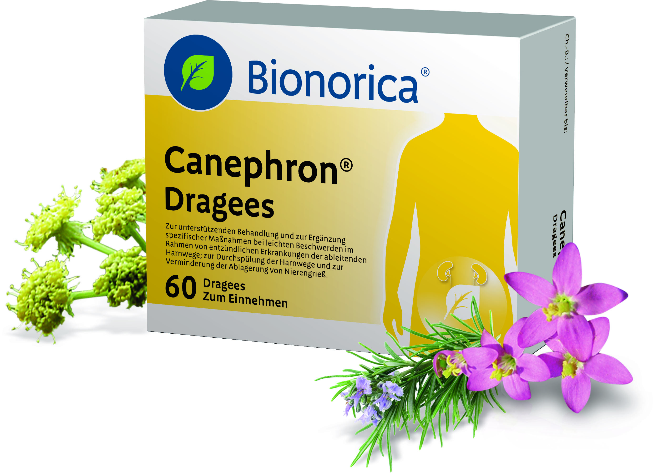 Canephron Dragees