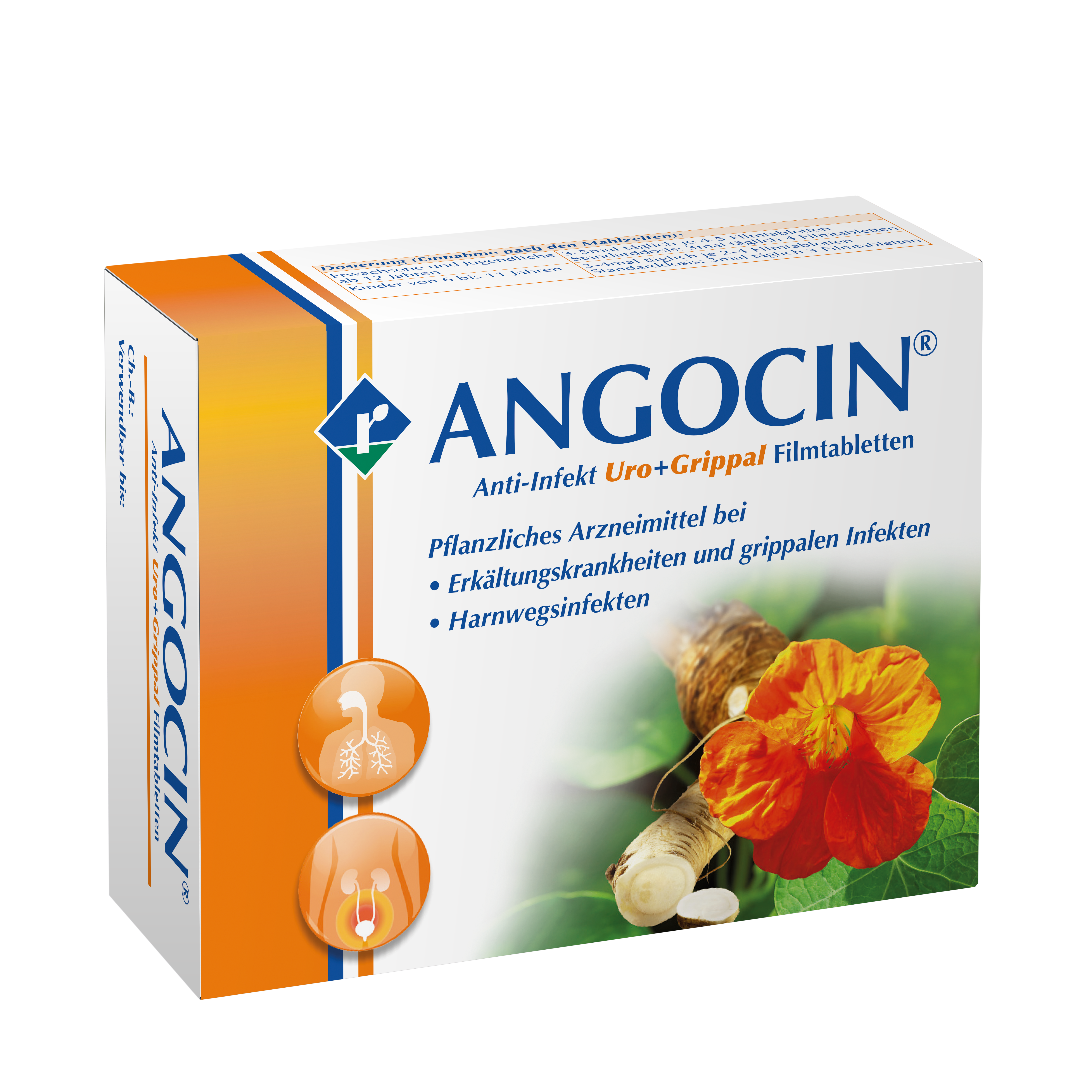 Angocin Anti-Infekt Filmtabletten
