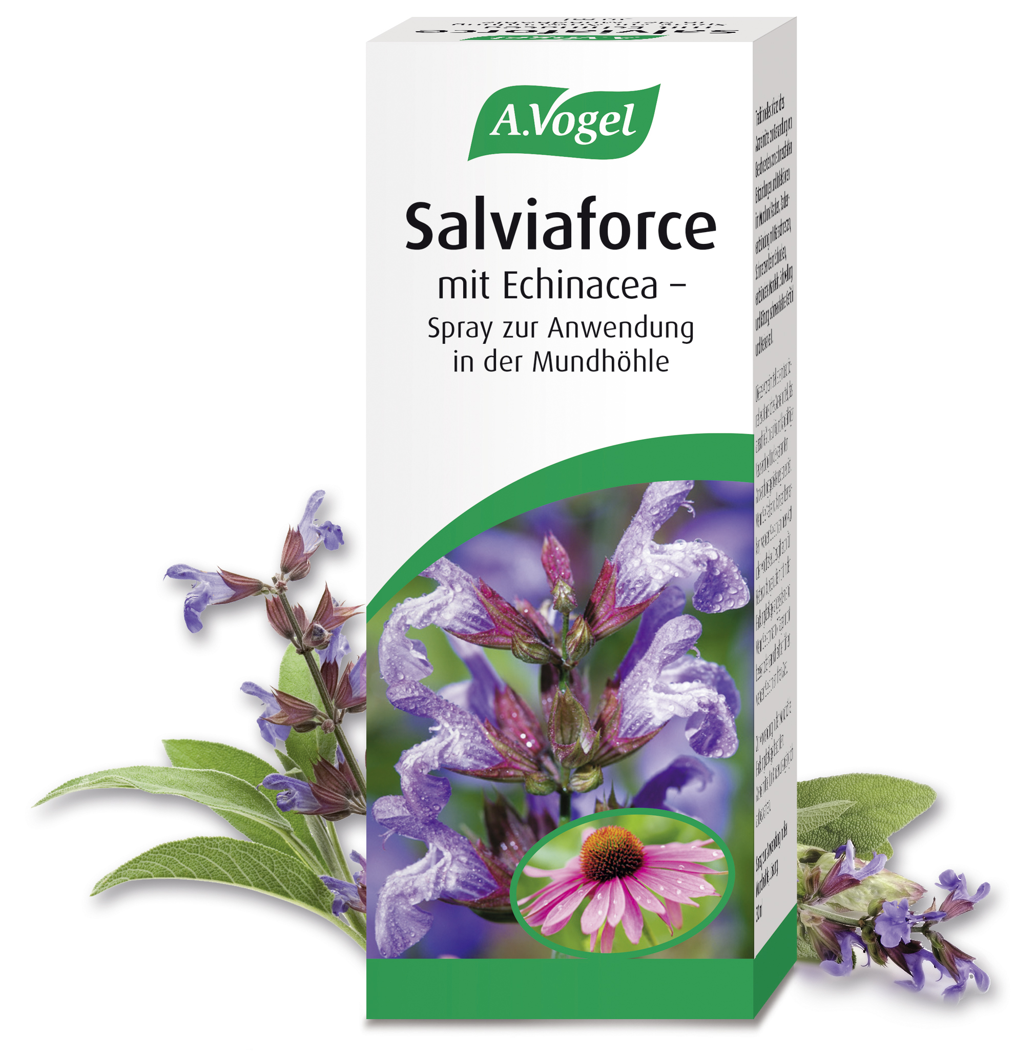 A.Vogel Salviaforce  mit Echinacea  Spray zur Anwendung in der Mundhöhle