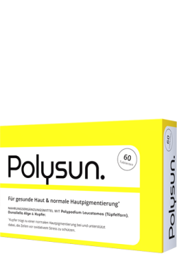 polysun