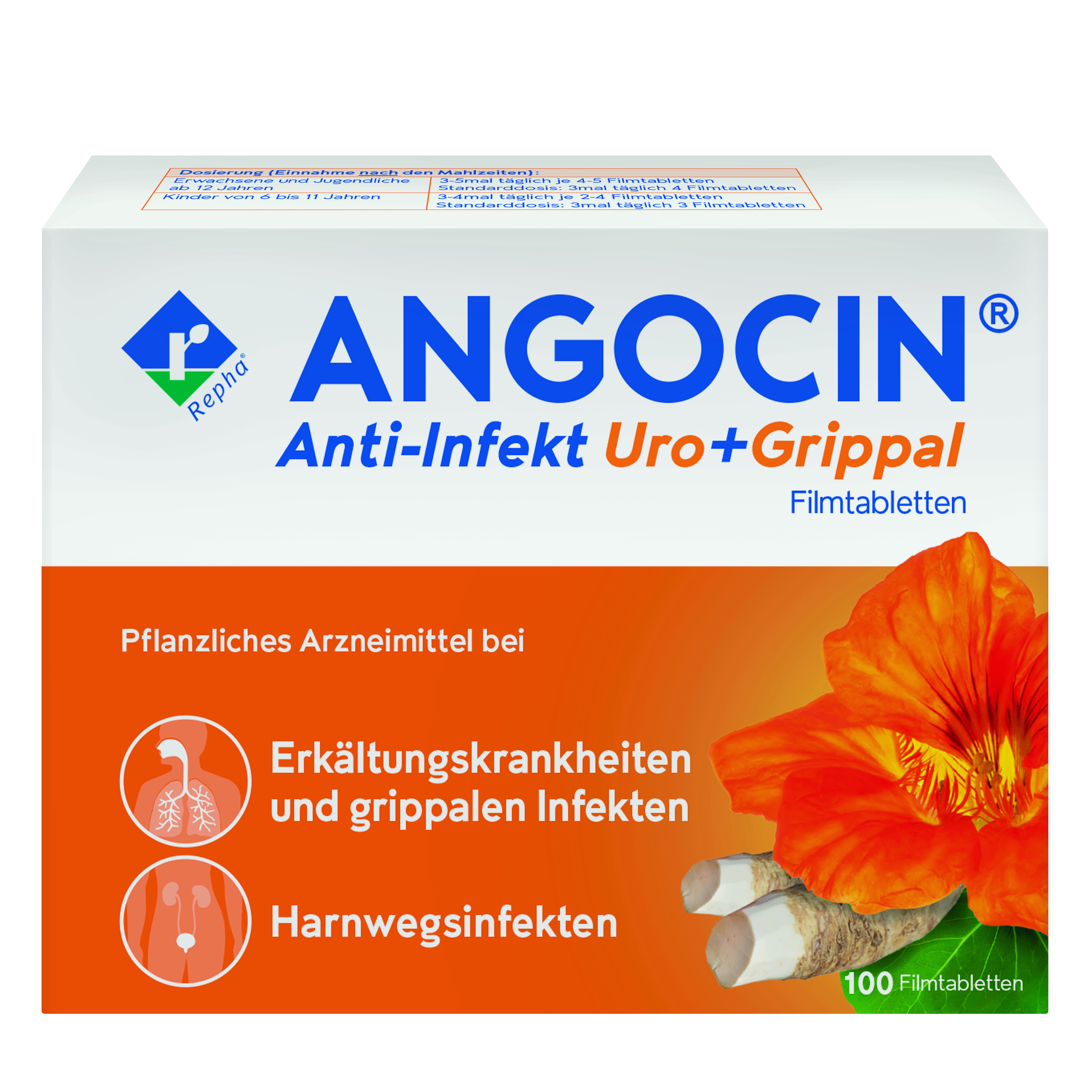 ANGOCIN AINFEKT UROGRIP FTBL