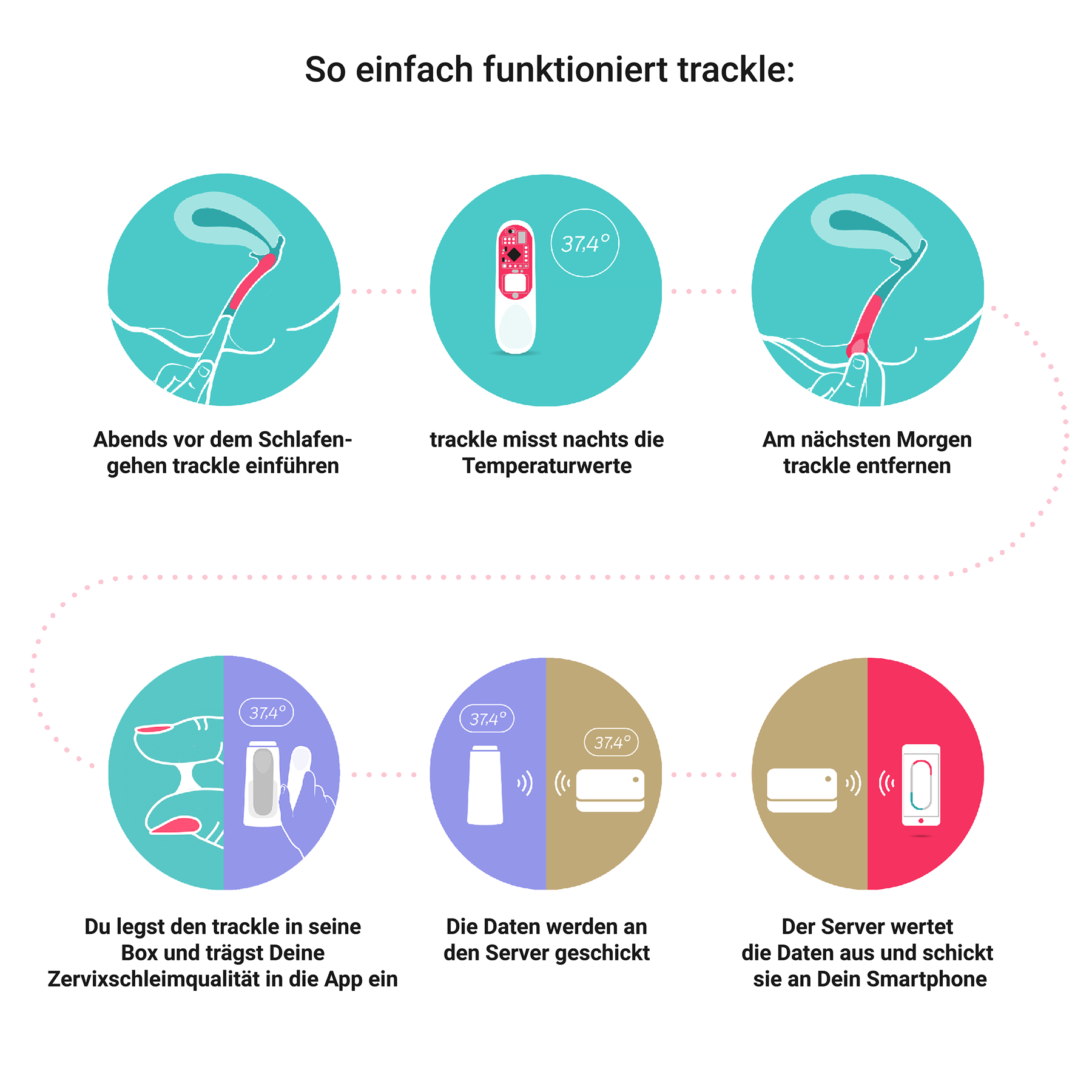 Tracklecatch Zyklusmonitor Sensorsystem