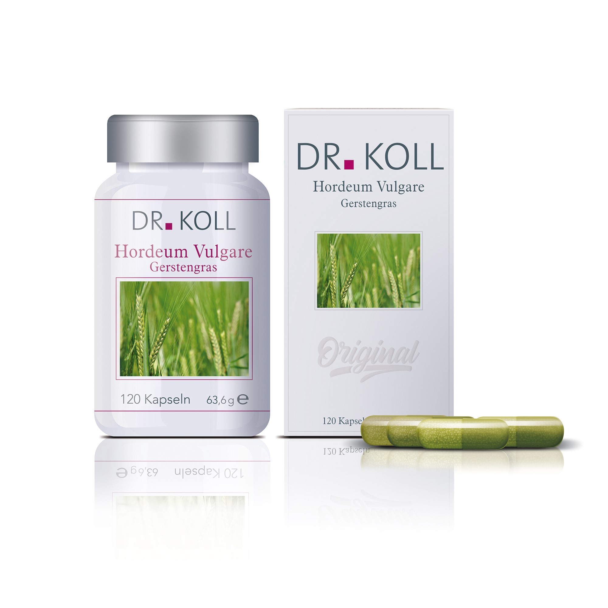 Gerstengras Dr. Koll